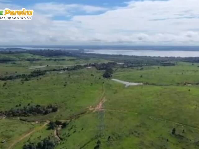#3106 - Fazenda para Venda em Vitória do Xingu - PA - 1
