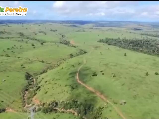 Fazenda para Venda em Vitória do Xingu - 4