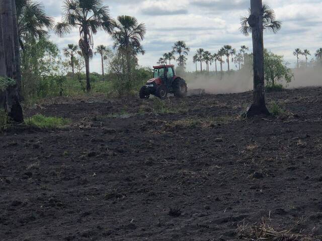 #3107 - Fazenda para Venda em Anapu - PA - 2