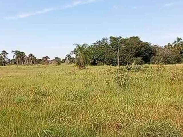 #3107 - Fazenda para Venda em Anapu - PA - 1