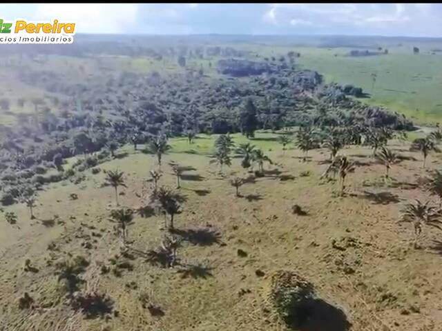 Fazenda para Venda em Altamira - 5