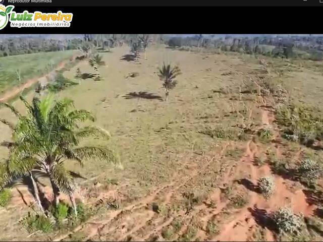 #3108 - Fazenda para Venda em Altamira - PA - 2