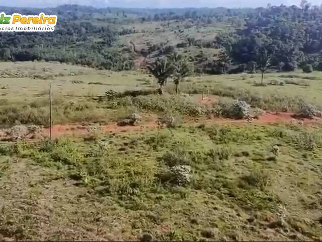 #3108 - Fazenda para Venda em Altamira - PA - 3