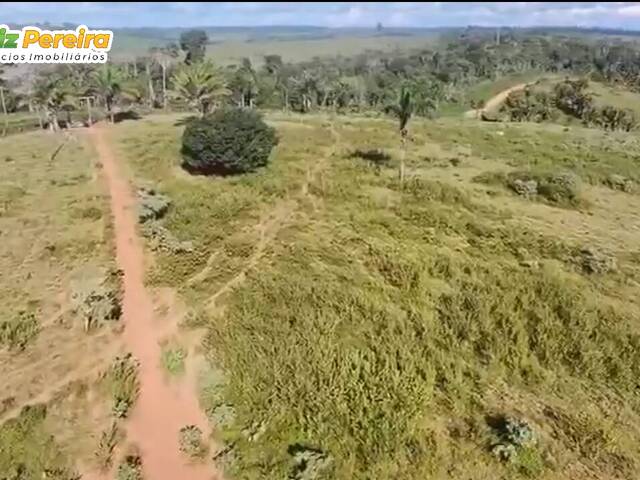 Fazenda para Venda em Altamira - 4