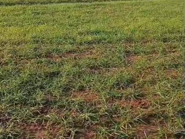 #3110 - Fazenda para Venda em Bataguassu - MS - 1