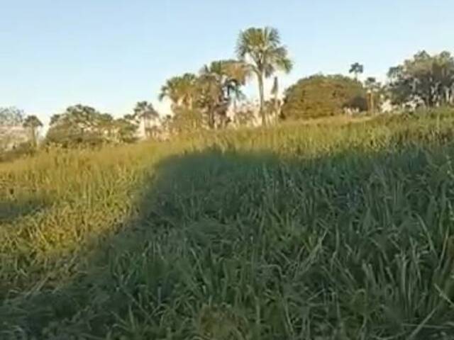 #3111 - Fazenda para Venda em Bataiporã - MS - 2