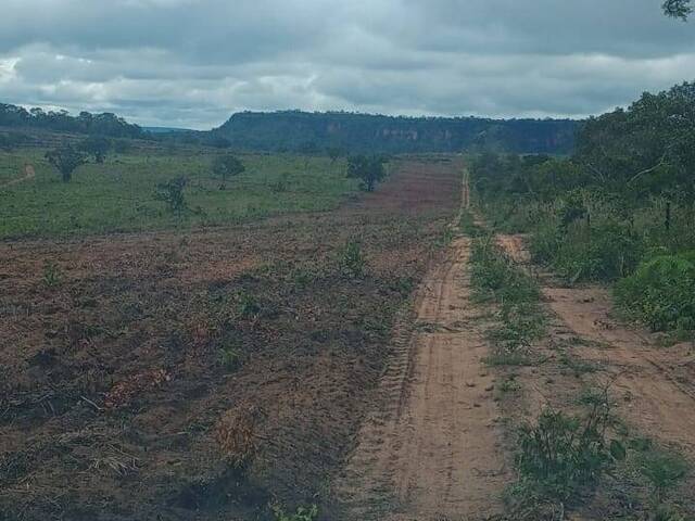 #3112 - Fazenda para Venda em Babaçulândia - TO - 3
