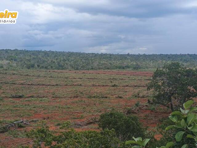 #3112 - Fazenda para Venda em Babaçulândia - TO - 1