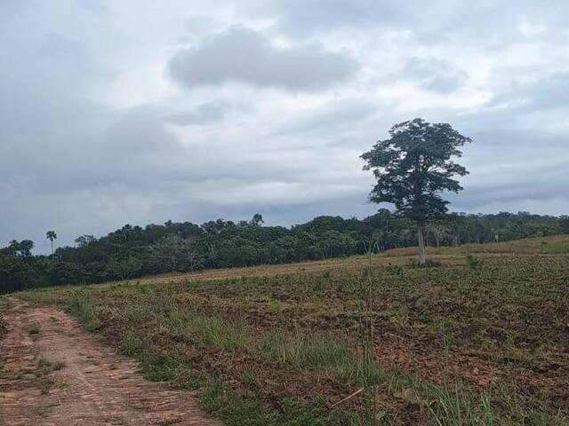 #3112 - Fazenda para Venda em Babaçulândia - TO - 2