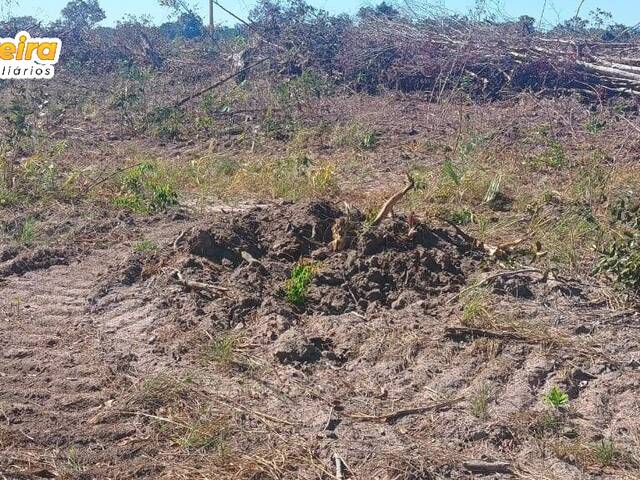#3113 - Fazenda para Venda em Barra do Ouro - TO - 2
