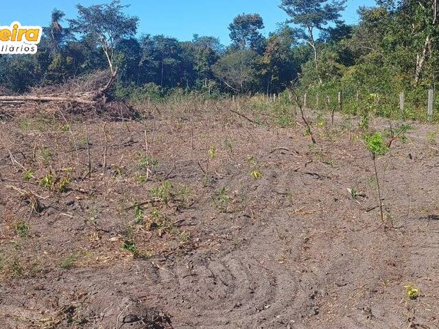 Fazenda para Venda em Barra do Ouro - 4
