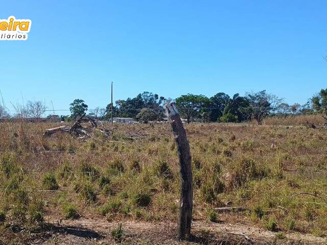 Fazenda para Venda em Barra do Ouro - 5