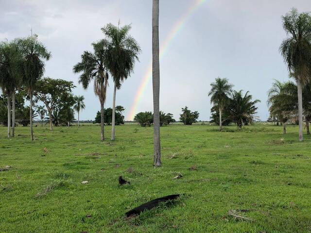 #3111 - Fazenda para Venda em Bataiporã - MS - 1