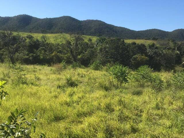 #2935 - Fazenda para Venda em São Salvador do Tocantins - TO