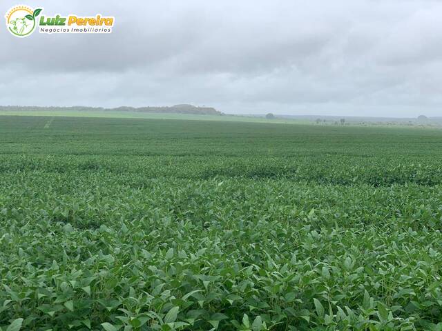 #3114 - Fazenda para Venda em Goiatins - TO - 3