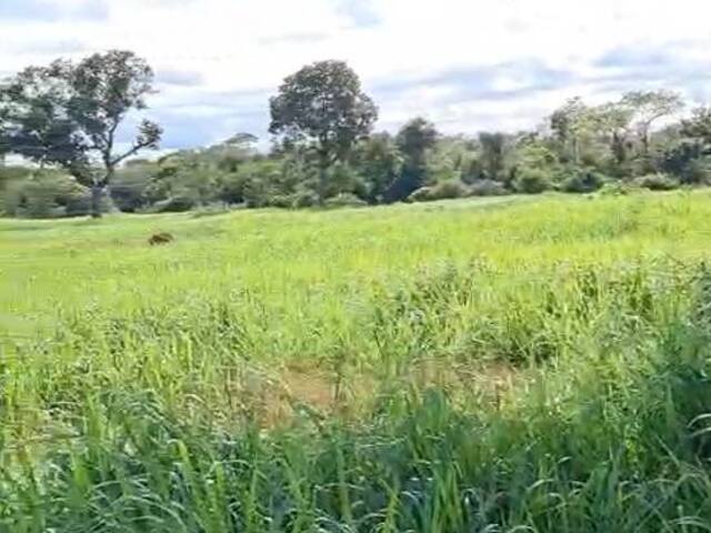 Fazenda para Venda em Barão de Melgaço - 5