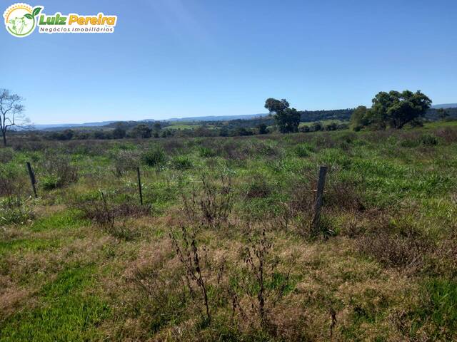 Fazenda para Venda em Juscimeira - 4