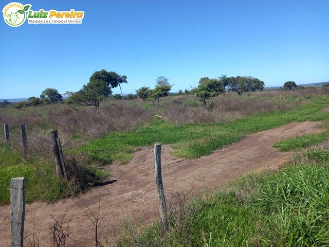 Fazenda para Venda em Juscimeira - 5
