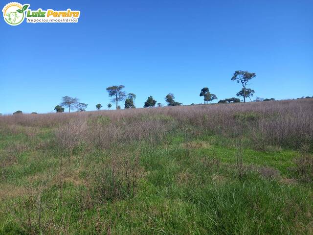 #3116 - Fazenda para Venda em Juscimeira - MT - 3