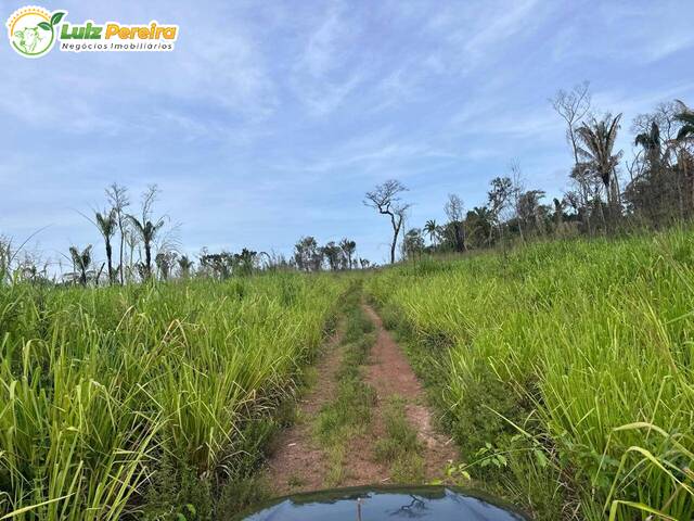 Fazenda para Venda em Santana do Araguaia - 5