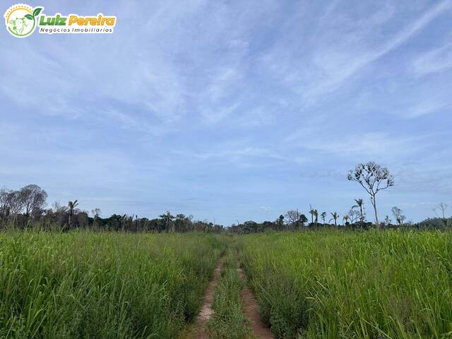 #3117 - Fazenda para Venda em Santana do Araguaia - PA - 3