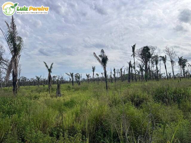 Fazenda para Venda em Santana do Araguaia - 4