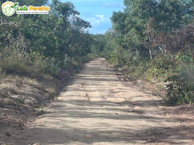 #3118 - Fazenda para Venda em Goiatins - TO - 2