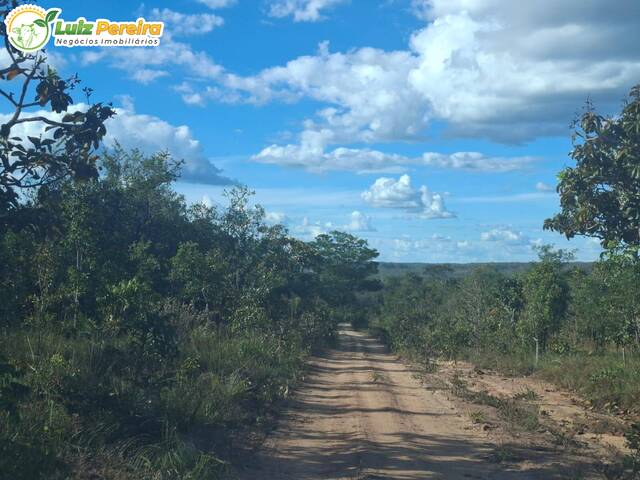 Venda em Zona Rural - Goiatins