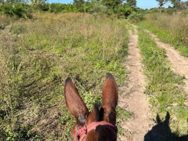 Fazenda para Venda em Miranda - 5