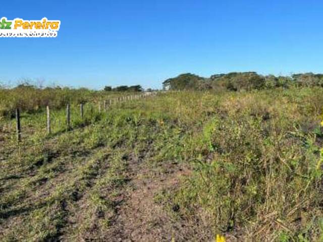 #3119 - Fazenda para Venda em Miranda - MS - 1