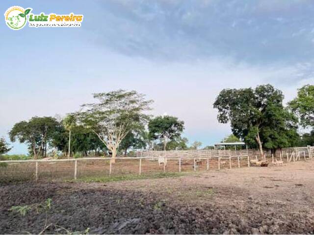 #3119 - Fazenda para Venda em Miranda - MS - 2