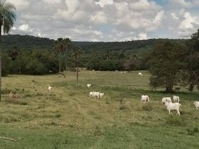 #3120 - Fazenda para Venda em Figueirão - MS - 2