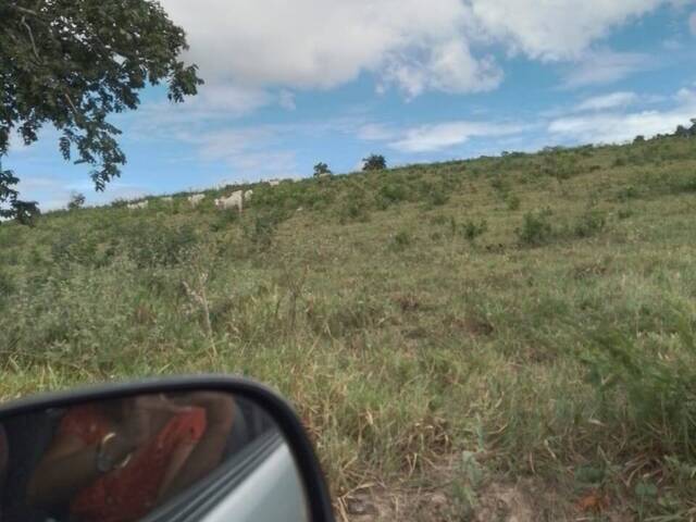 #3120 - Fazenda para Venda em Figueirão - MS - 1