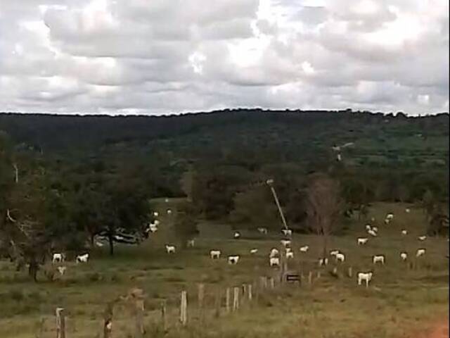 #3120 - Fazenda para Venda em Figueirão - MS - 1