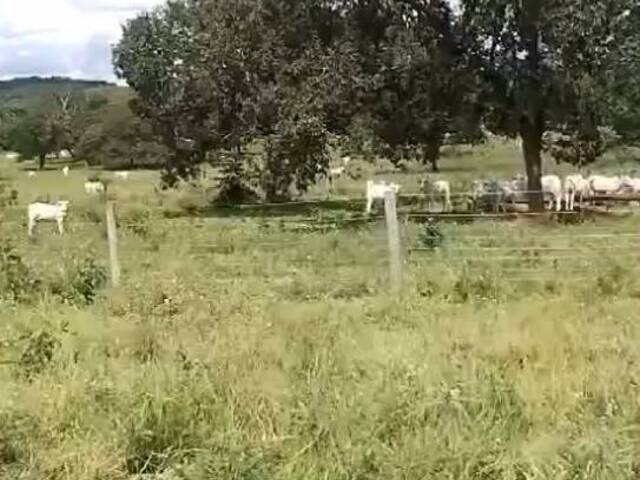 #3120 - Fazenda para Venda em Figueirão - MS - 3