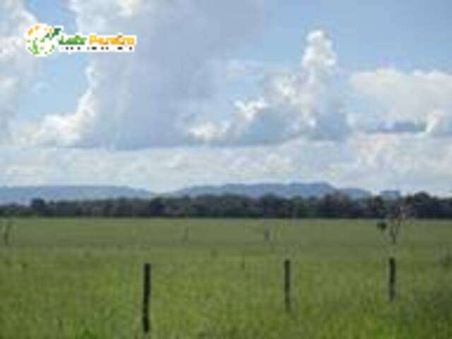 #3121 - Fazenda para Venda em Pedro Gomes - MS - 2