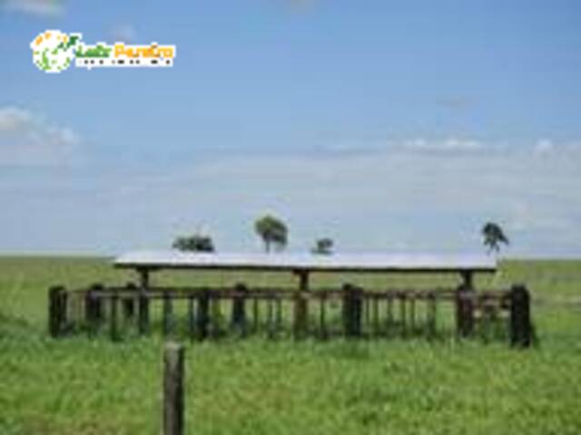 #3121 - Fazenda para Venda em Pedro Gomes - MS - 1