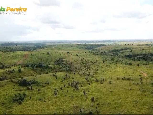 #3122 - Fazenda para Venda em Marabá - PA - 2