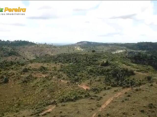 #3122 - Fazenda para Venda em Marabá - PA - 3