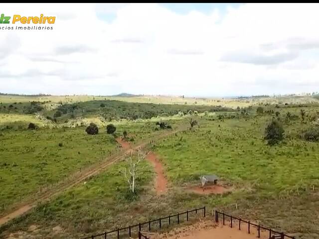 #3122 - Fazenda para Venda em Marabá - PA - 1