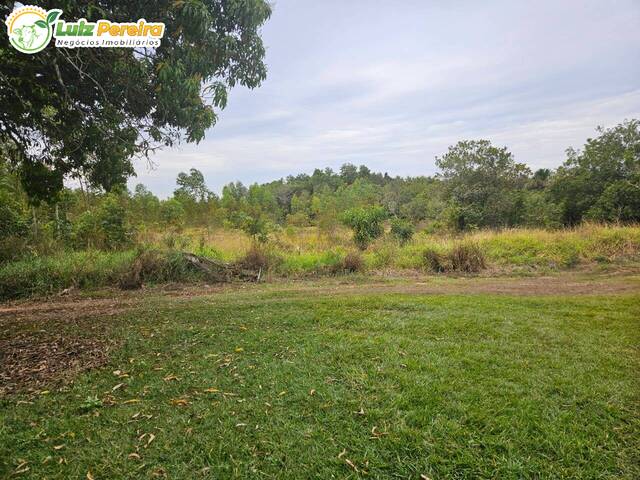 #3123 - Fazenda para Venda em Selvíria - MS - 1