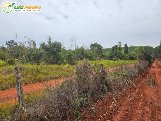 #3123 - Fazenda para Venda em Selvíria - MS - 3
