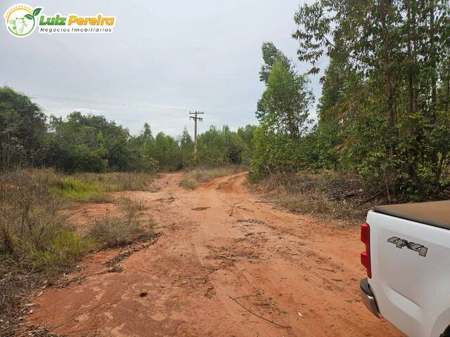 Fazenda para Venda em Selvíria - 4