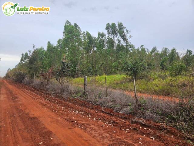 Fazenda para Venda em Selvíria - 5