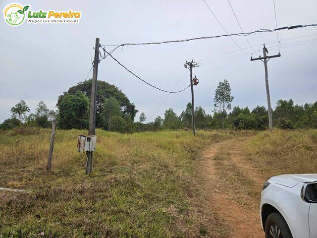 #3123 - Fazenda para Venda em Selvíria - MS - 2