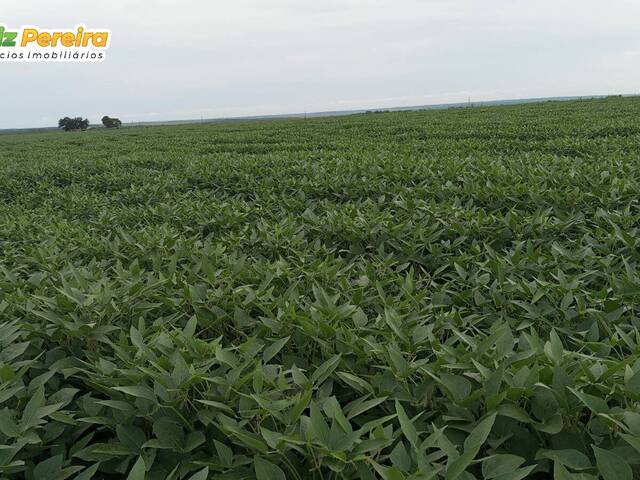 #3124 - Fazenda para Venda em Santa Maria do Tocantins - TO - 2
