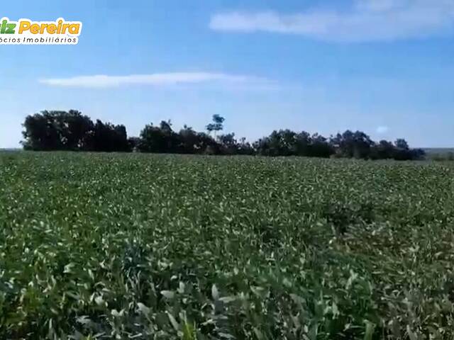 #3126 - Fazenda para Venda em Juscimeira - MT - 2