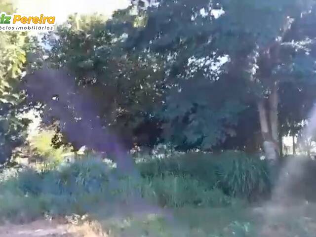 Fazenda para Venda em Juscimeira - 5