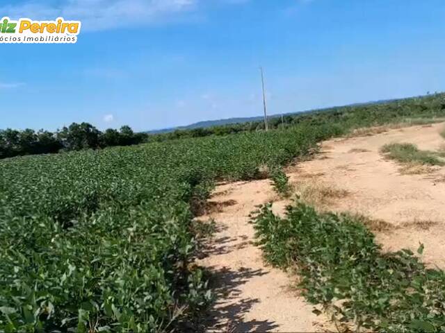 #3126 - Fazenda para Venda em Juscimeira - MT - 1