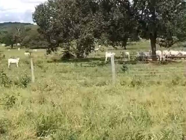 Fazenda para Venda em Figueirão - 5